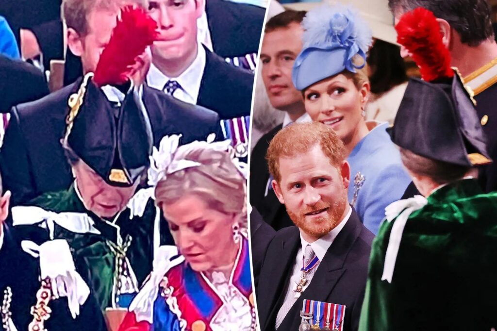 Princess Anne's Big Feather Blocks Prince Harry