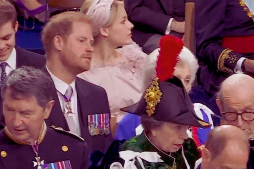 Another Coronation Snub: Princess Anne's Big Feather Blocks Prince Harry