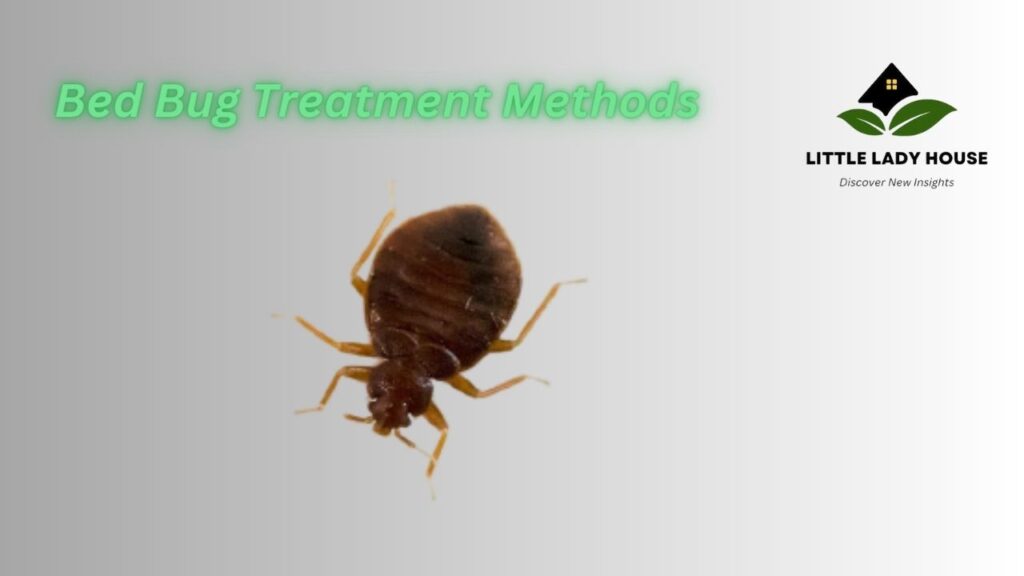 Bed Bug Treatment Method