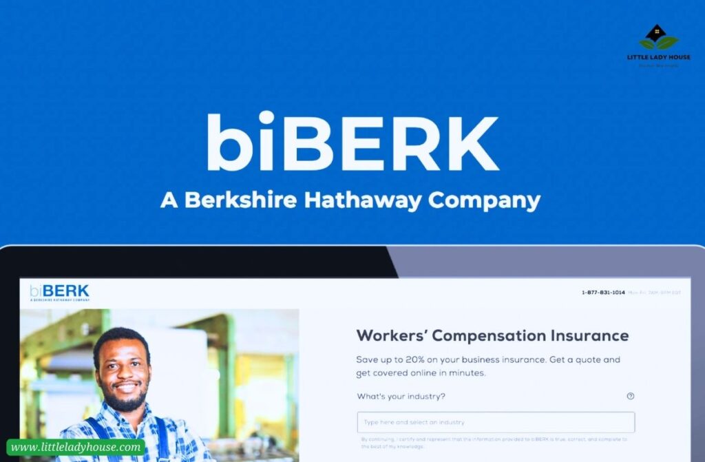 Biberk business Insurance 