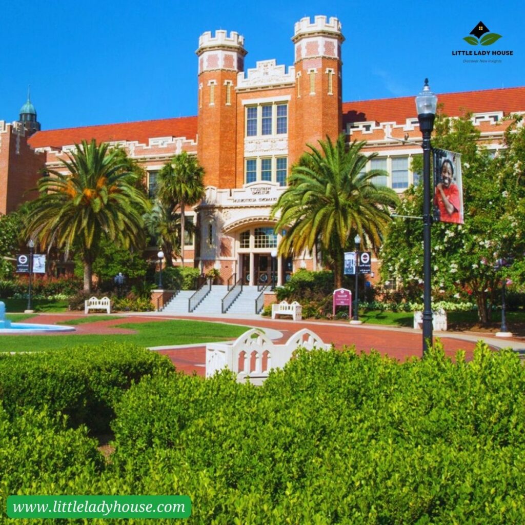 Colors of Florida State University and Degrees