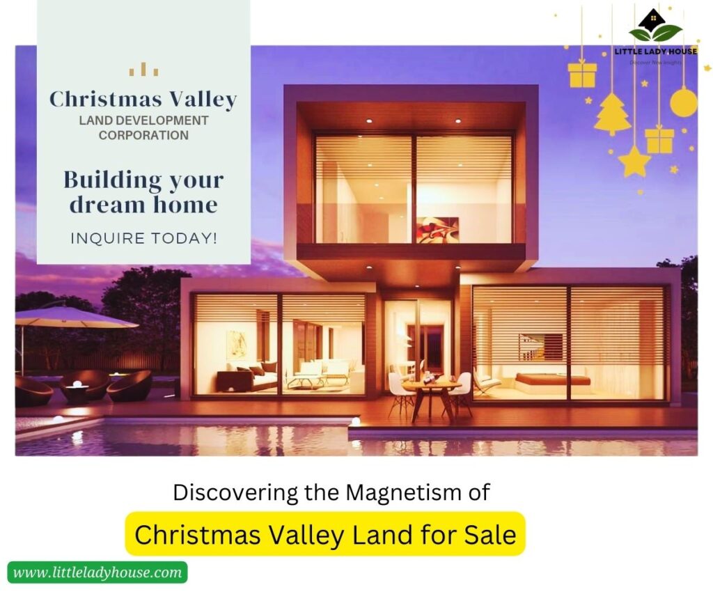Discovering the Magnetism of Christmas Valley Land for Sale