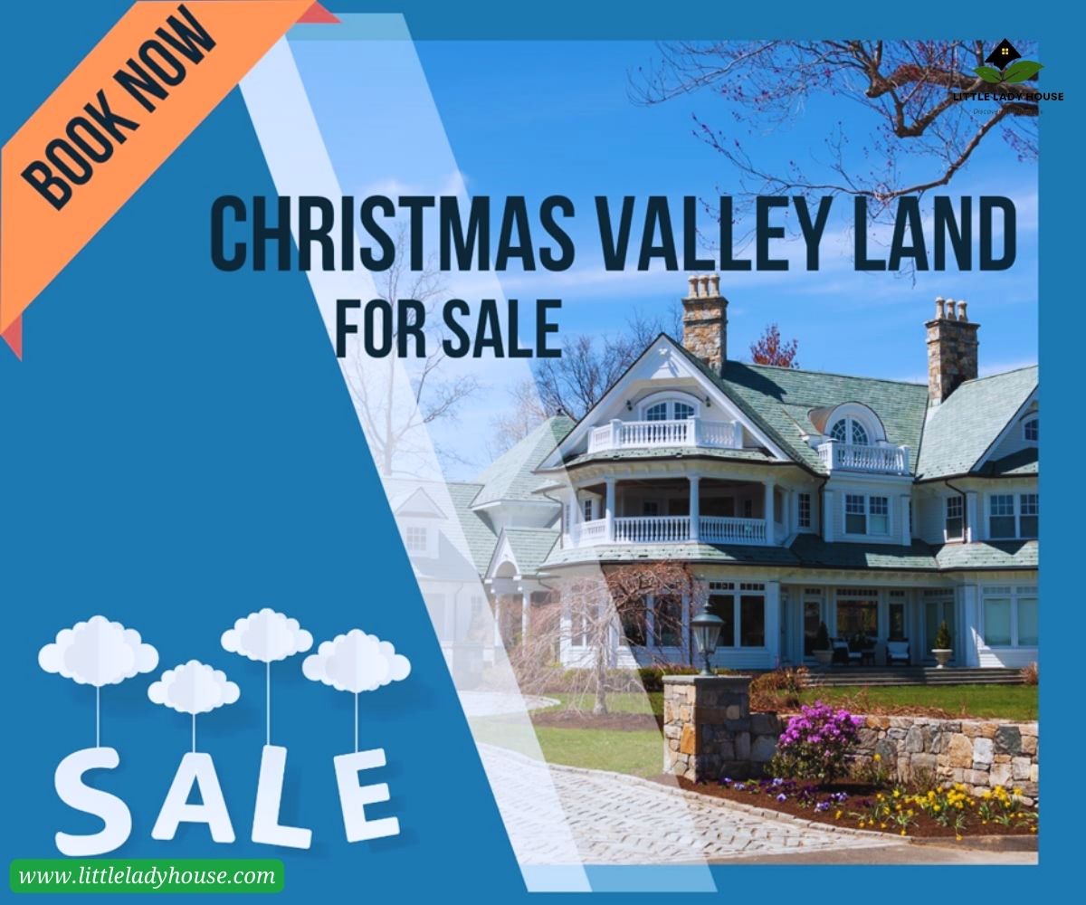 Discovering the Magnetism of Christmas Valley Land for Sale