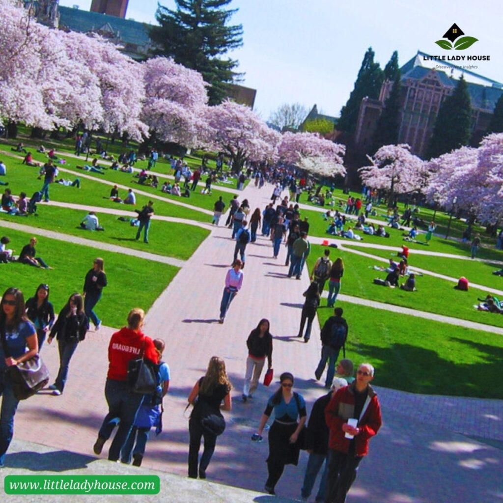 University of Washington Seattle Where Hopes Soar Through Green Heavens